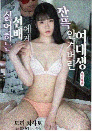 最新电视剧长安风华